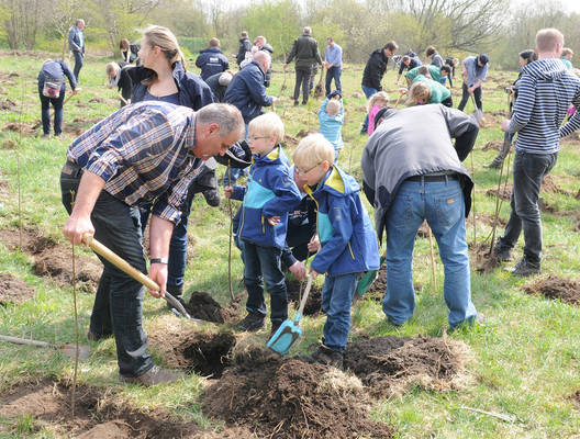 Neuer Klimawald wird gepflanzt in Gadeland. Foto: SWN/Stiftung Klimawald