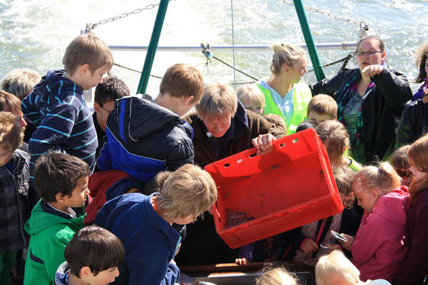 Die Kinder haben Spaß beim "Seetierfang". Foto: Sonja Wenzel