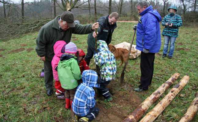 Kinder pflanzen junge Bäume auf einer Freifläche beim Scheelsberg im Naturpark Hüttener Berge